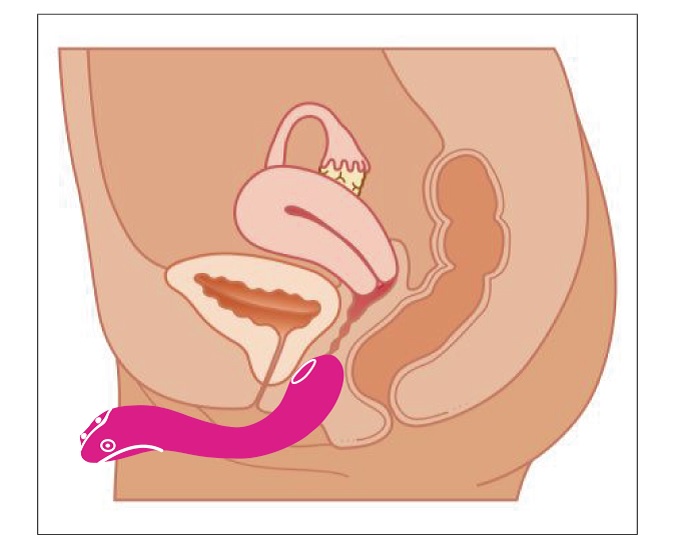 Lovense Osci 2 внутри
